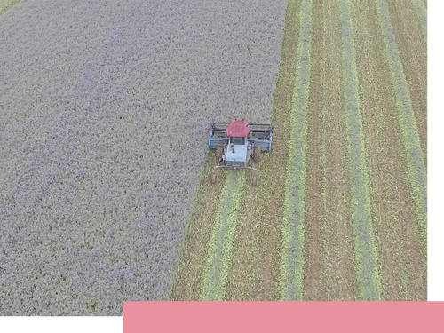 Tractor on the field