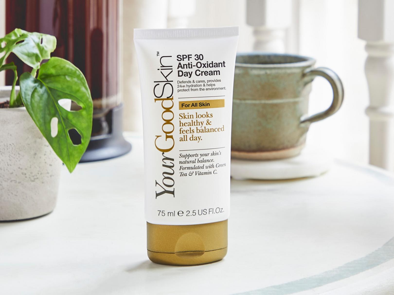 Product shot of SPF 30 Anti-Oxidant Day Cream - with vitamins E&C 75 ml